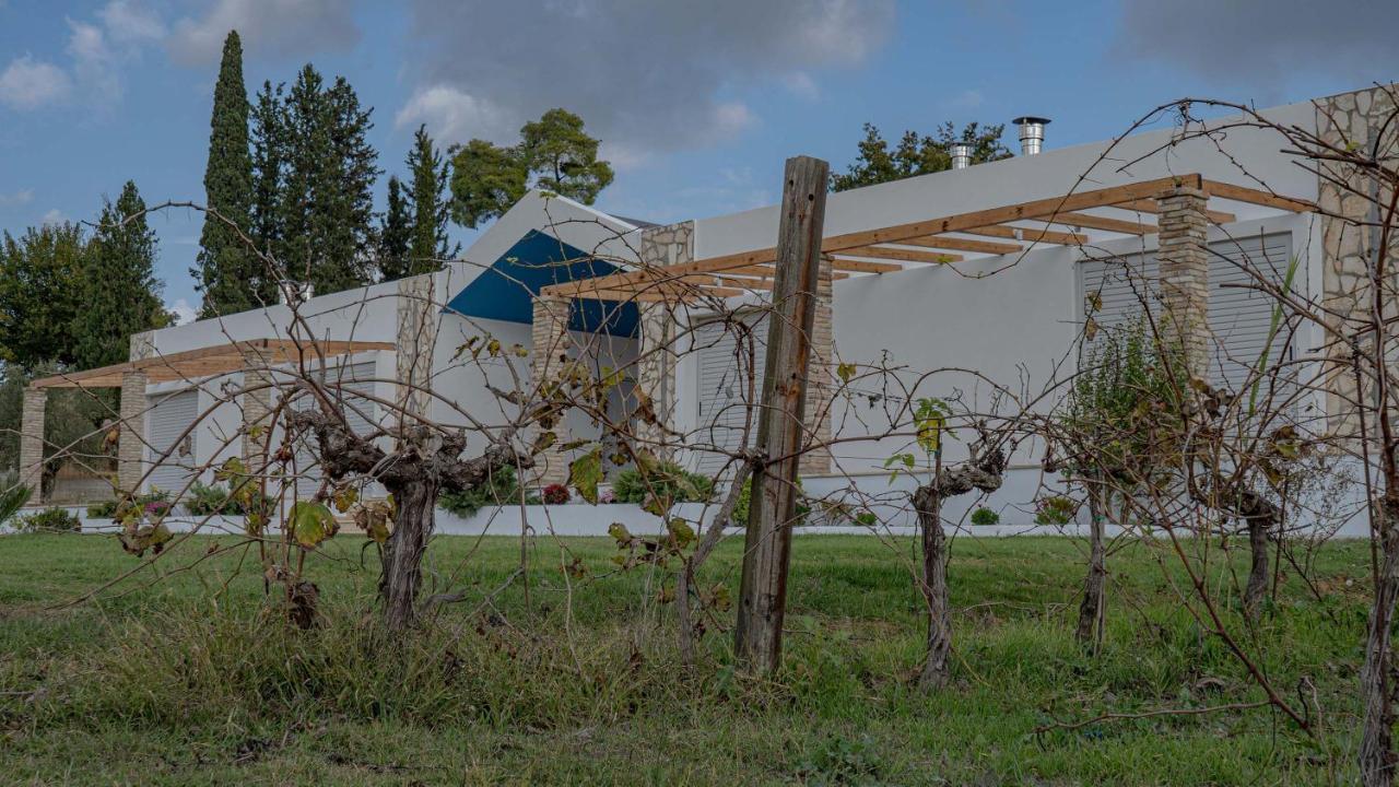 Apartmán Atrium Vinea Brintziki Winery Smila Exteriér fotografie