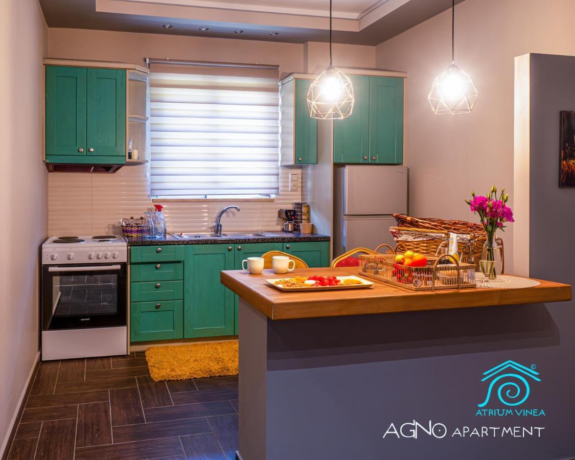 Apartmán Atrium Vinea Brintziki Winery Smila Exteriér fotografie