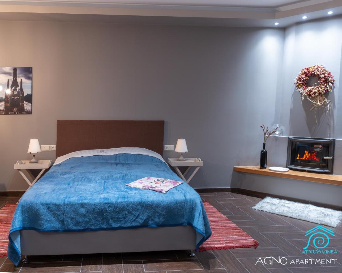 Apartmán Atrium Vinea Brintziki Winery Smila Exteriér fotografie