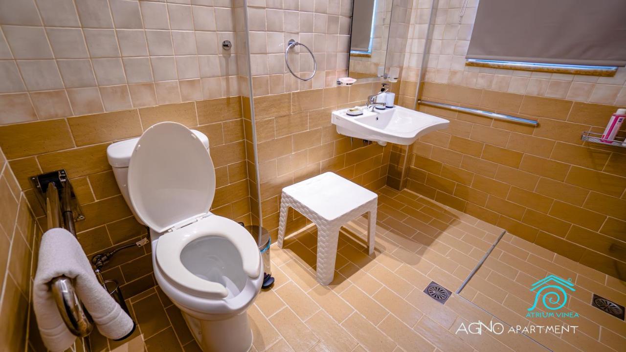 Apartmán Atrium Vinea Brintziki Winery Smila Pokoj fotografie