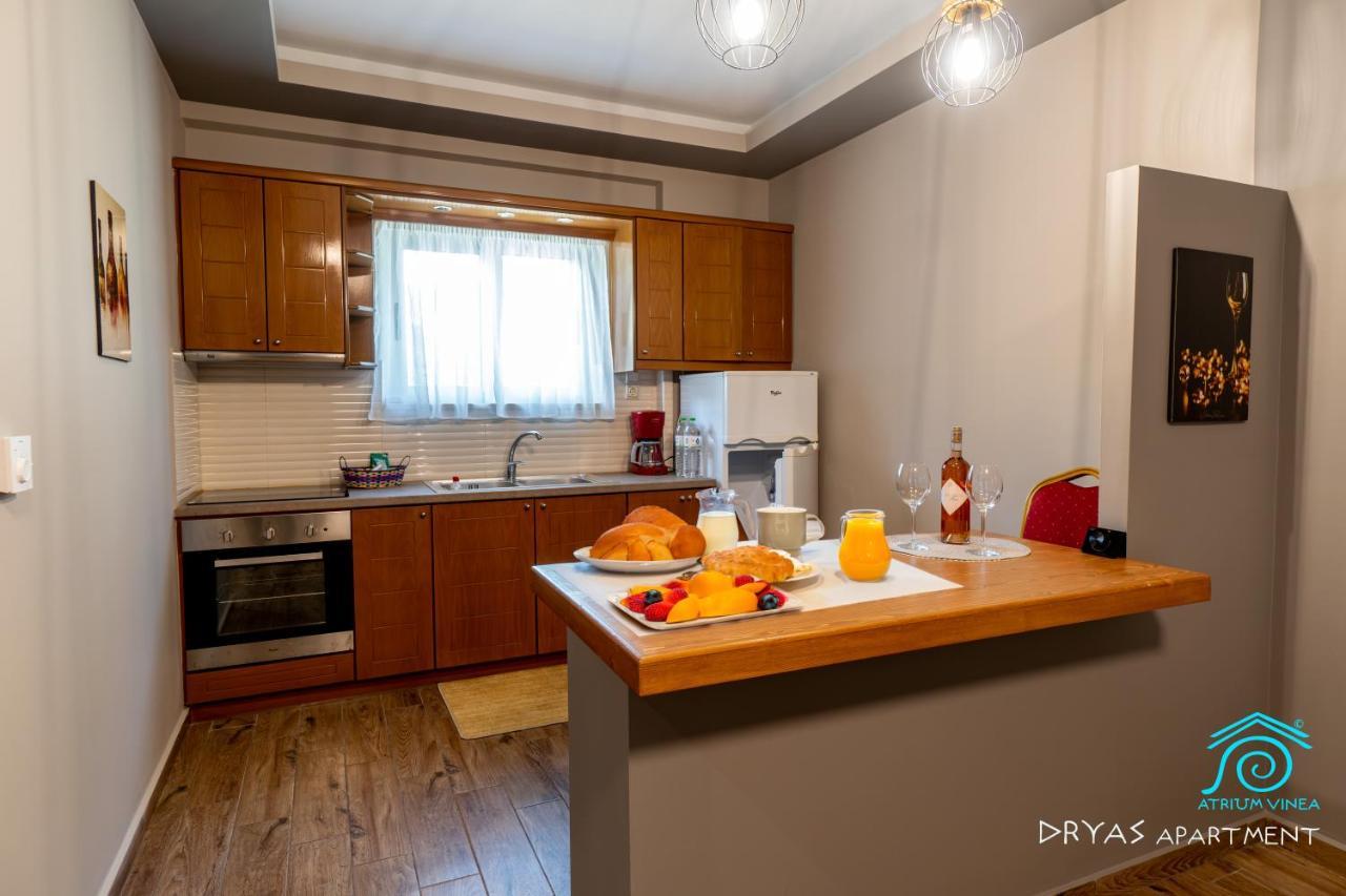 Apartmán Atrium Vinea Brintziki Winery Smila Exteriér fotografie