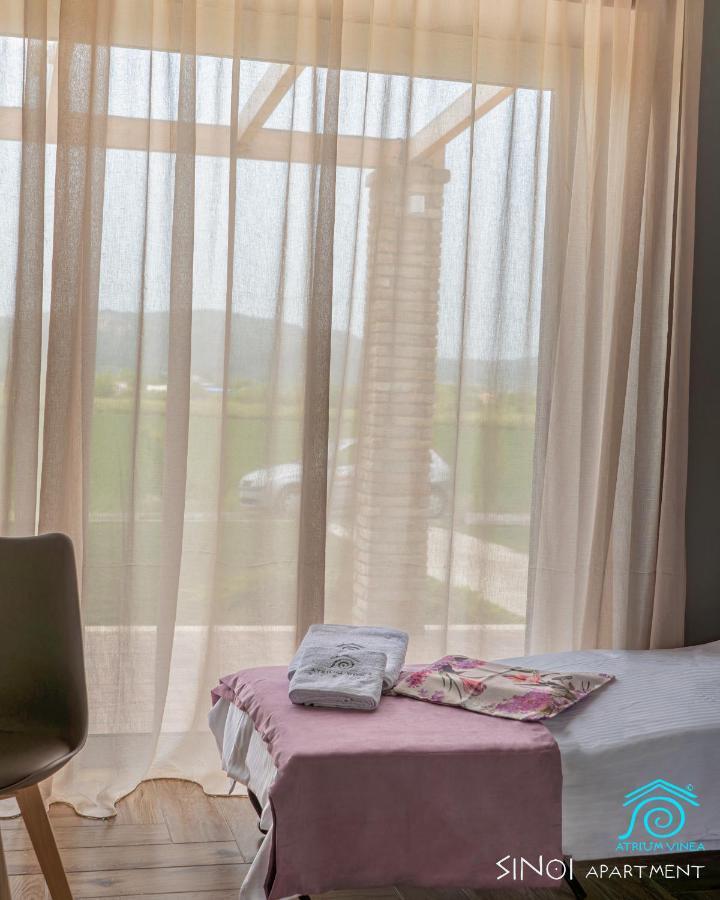 Apartmán Atrium Vinea Brintziki Winery Smila Exteriér fotografie