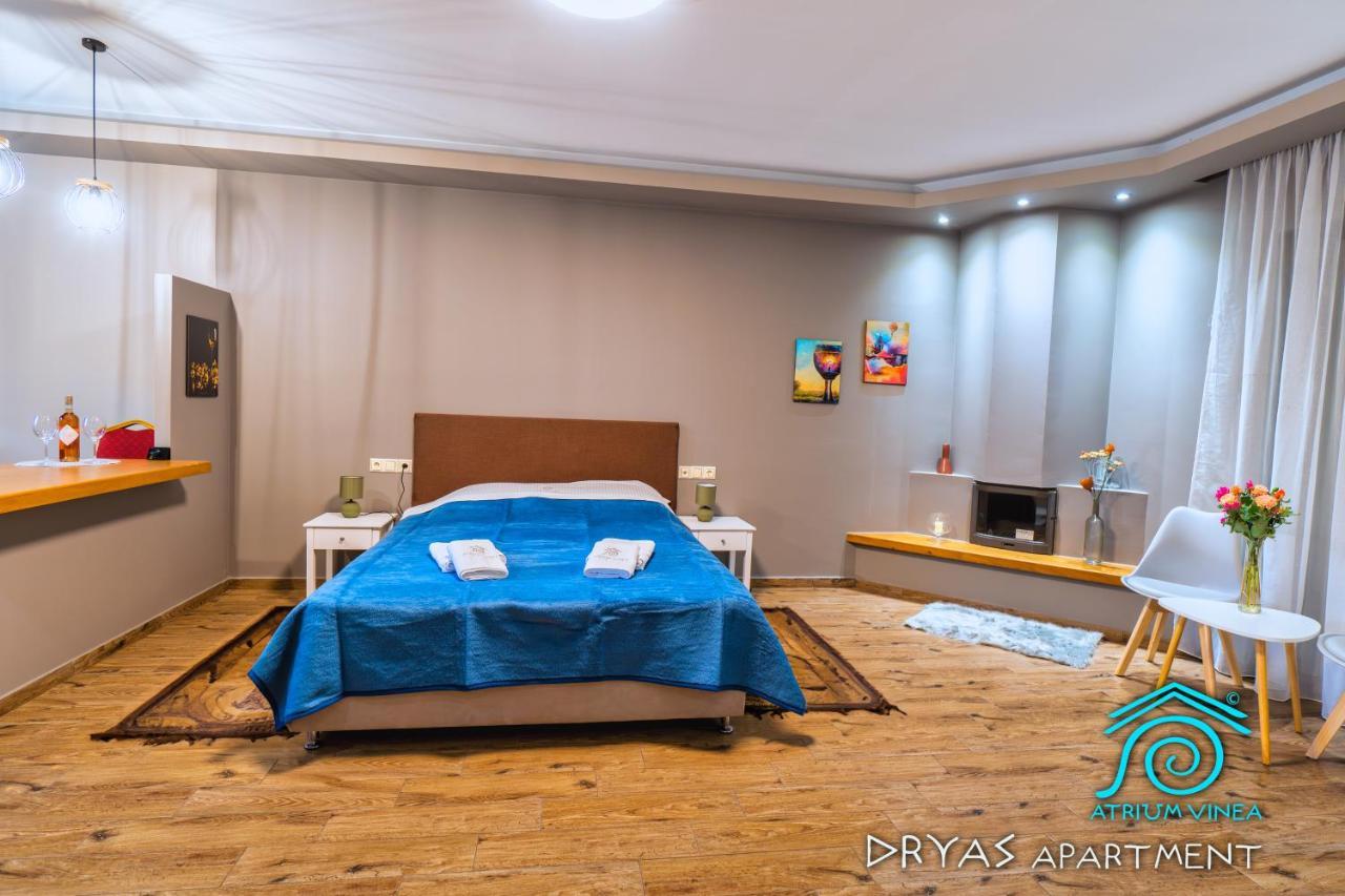 Apartmán Atrium Vinea Brintziki Winery Smila Exteriér fotografie