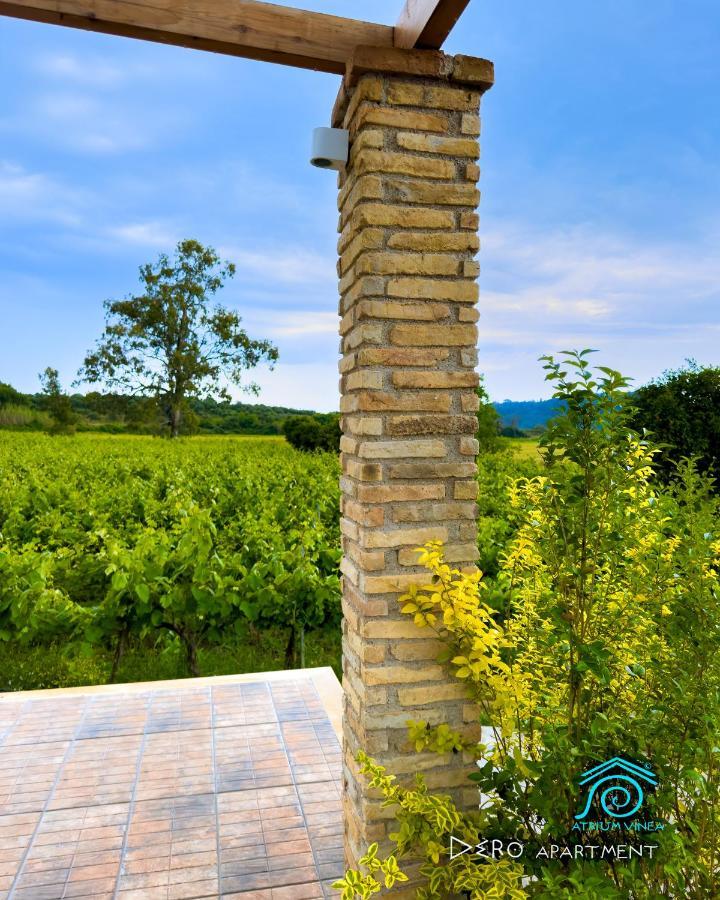 Apartmán Atrium Vinea Brintziki Winery Smila Exteriér fotografie